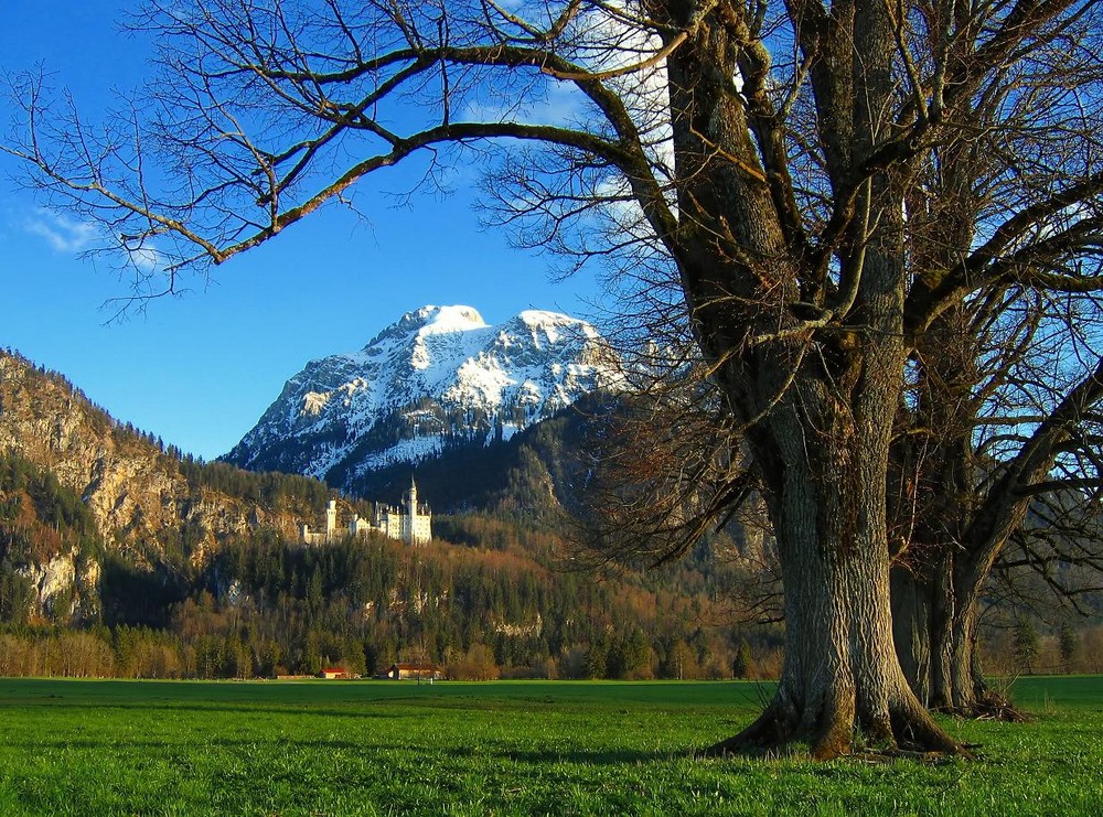 Neuschwanstein