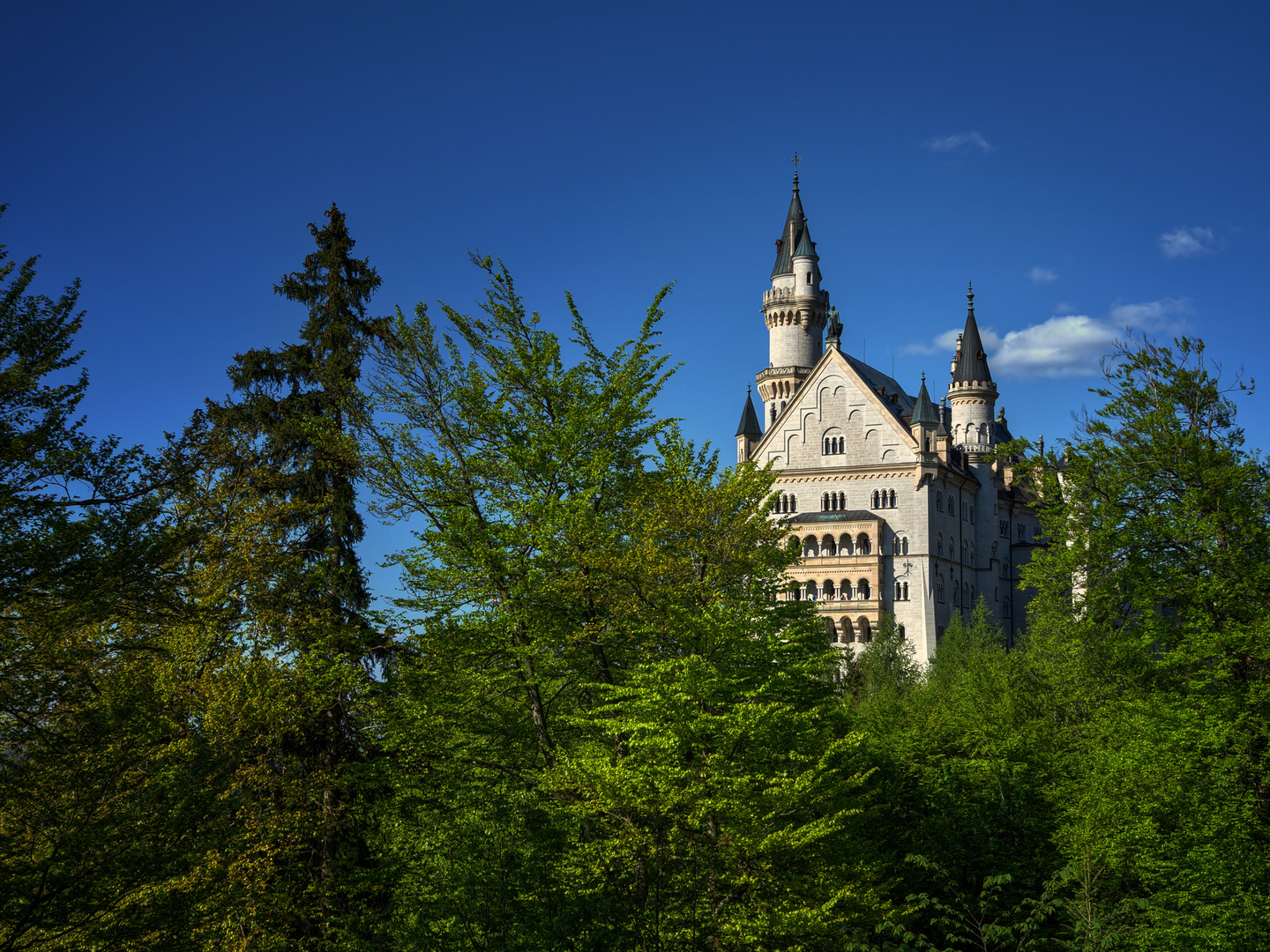 Neuschwanstein