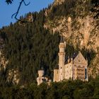 Neuschwanstein II