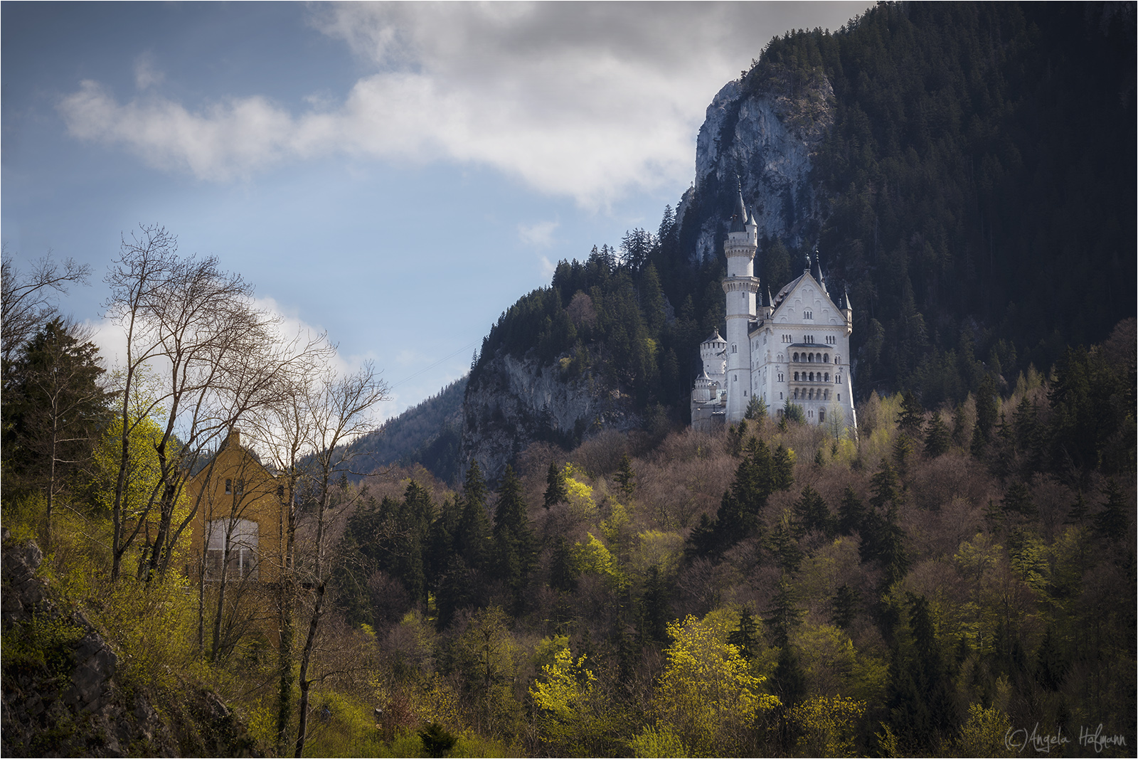 Neuschwanstein im April