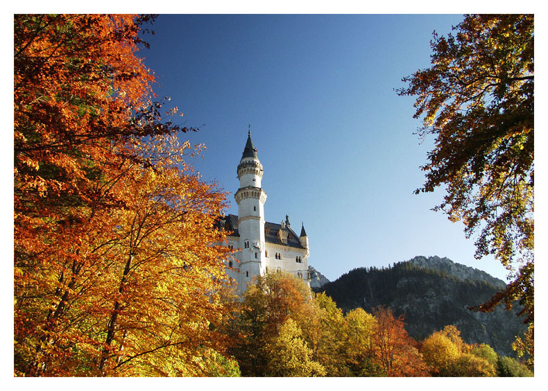 Neuschwanstein im Herbst