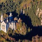 Neuschwanstein im Herbst