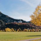 Neuschwanstein im Herbst!