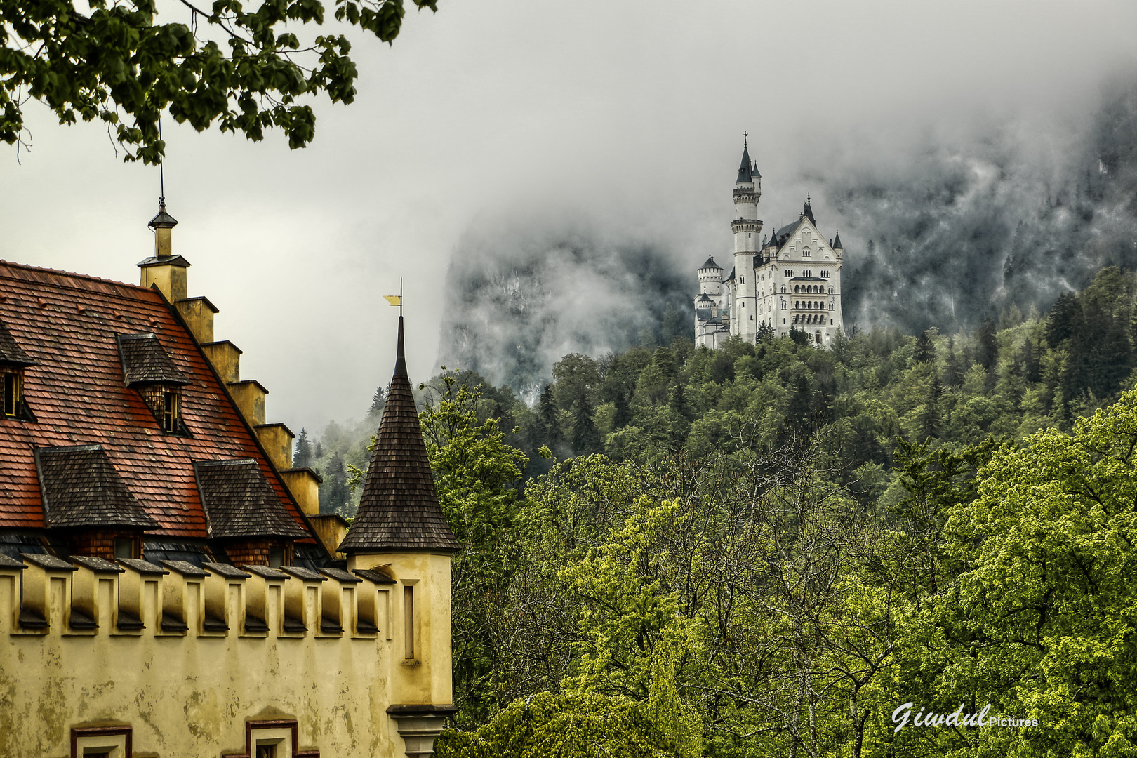 Neuschwanstein im Nebel (2)