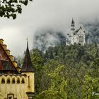 Neuschwanstein im Nebel (2)