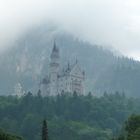 Neuschwanstein im Nebel