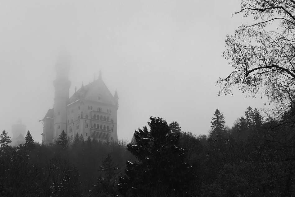 Neuschwanstein im Nebel