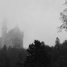 Neuschwanstein im Nebel