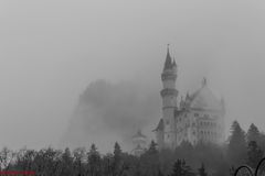 Neuschwanstein im Nebel