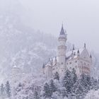 Neuschwanstein im Schnee