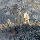 Neuschwanstein im Winter