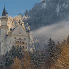 Neuschwanstein im Winter