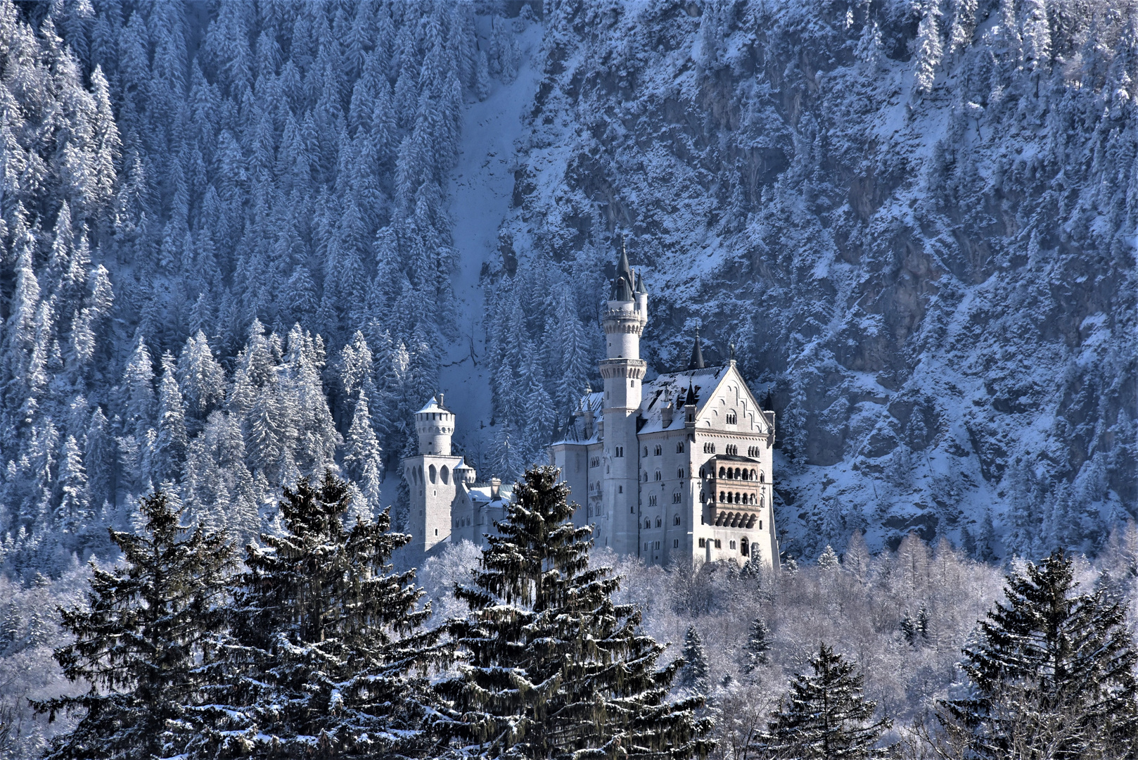 Neuschwanstein im Winterkleid