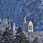 Neuschwanstein im Winterkleid