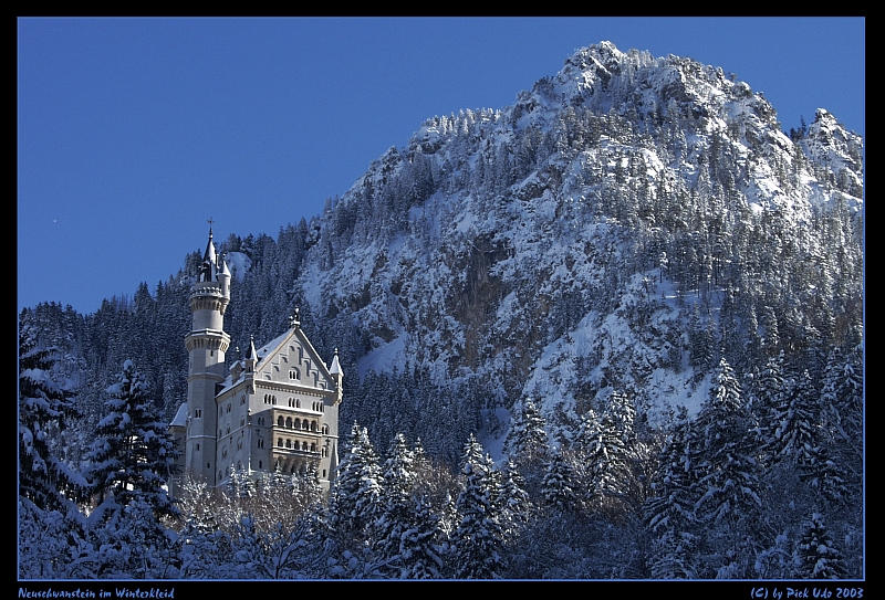 Neuschwanstein im Winterkleid