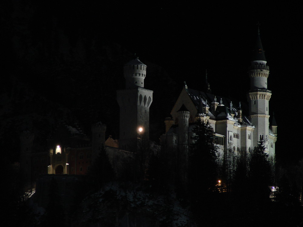 Neuschwanstein in der Nacht