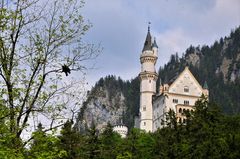 Neuschwanstein mit Raben