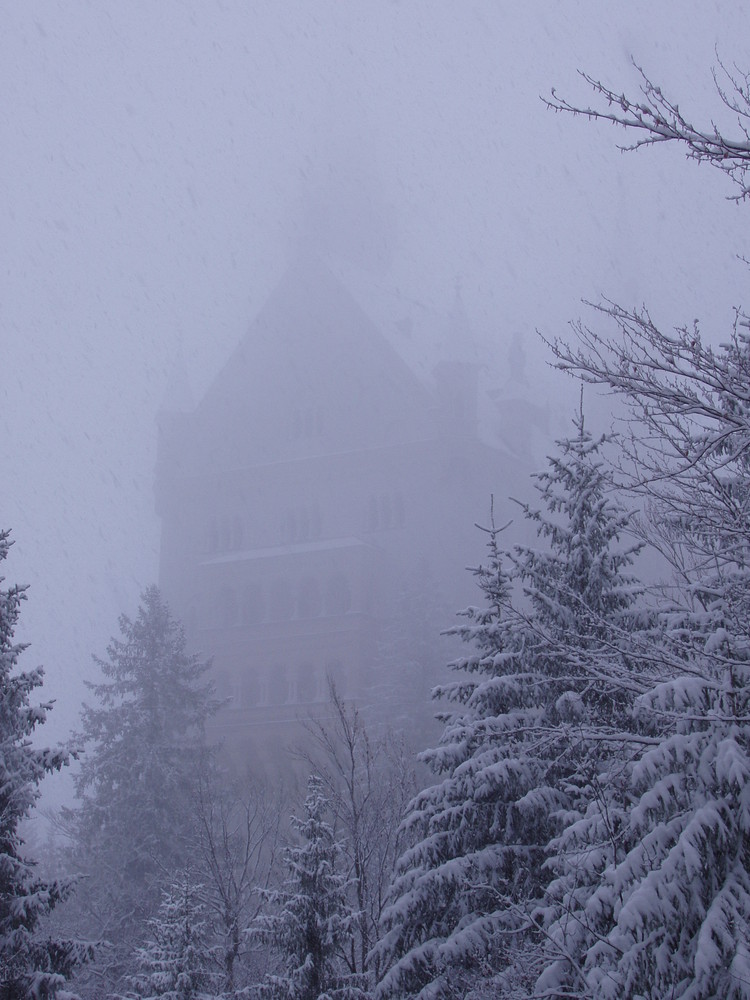 Neuschwanstein umhüllt vom Nebel