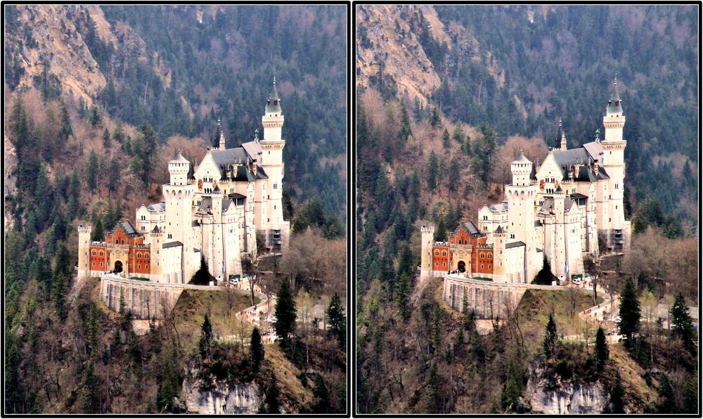 Neuschwanstein von der Hornburg 3D Kreuzblick