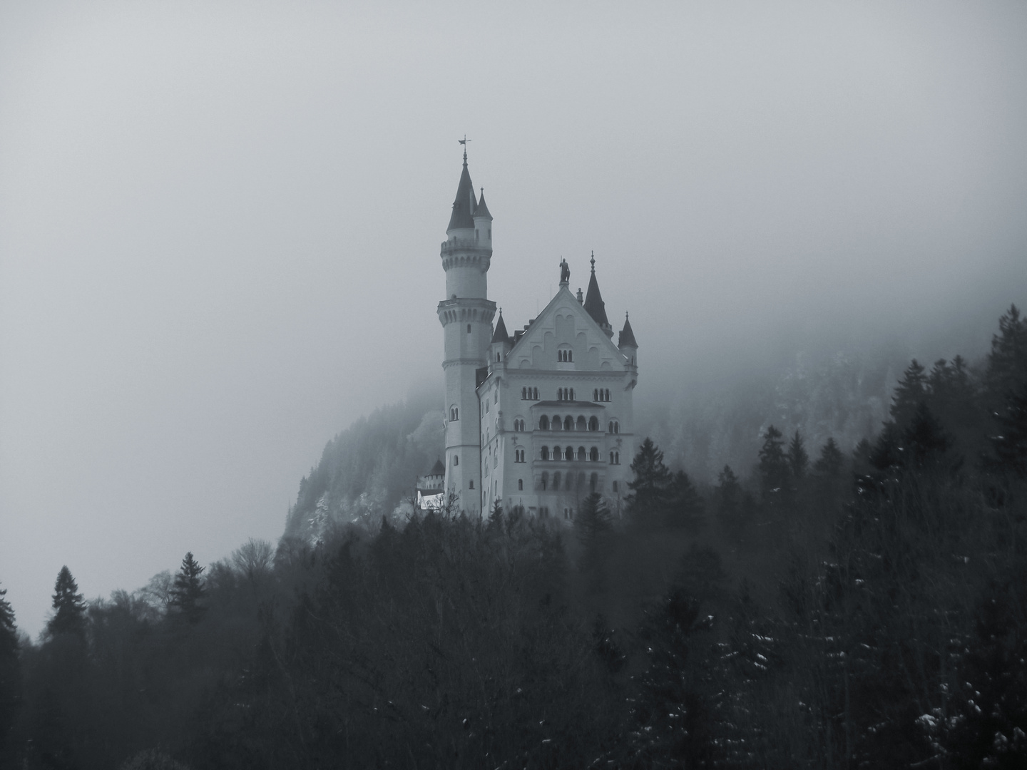 Neuschwanstein - winterlich