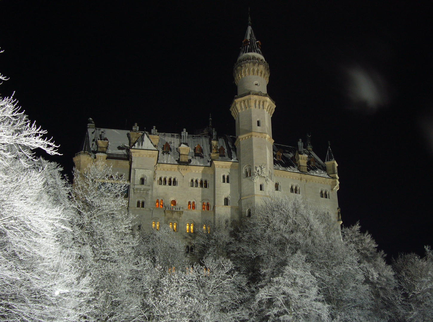 Neuschwanstein Wintertraum