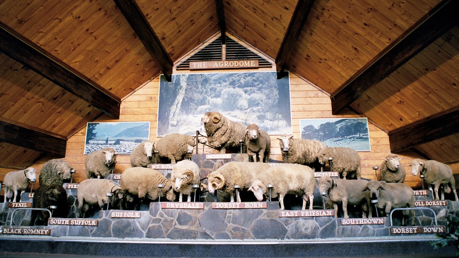 Neuseeland (2002), Agrodome