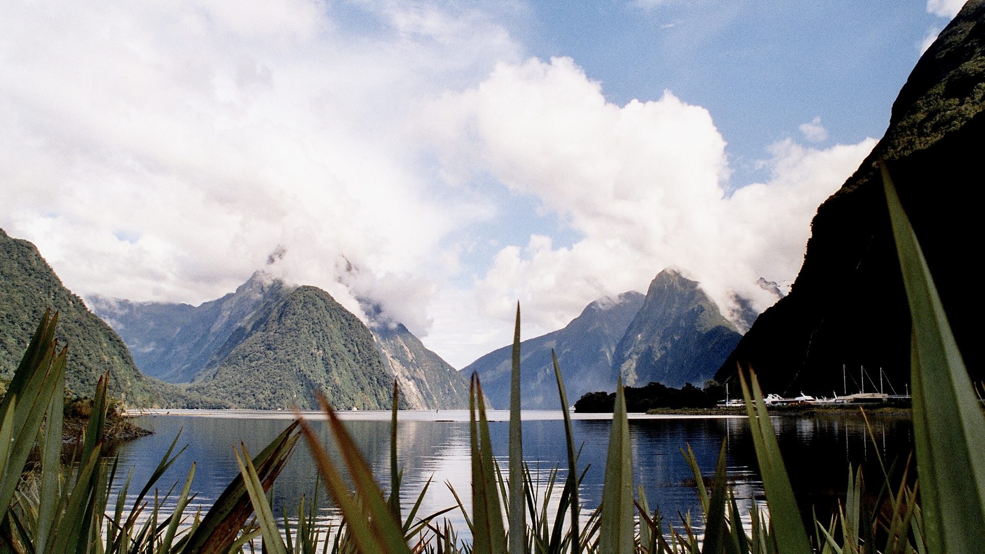 Neuseeland (2002), Milford Sound