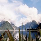 Neuseeland (2002), Milford Sound