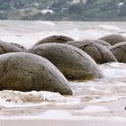 Neuseeland (2002), Moeraki Boulders