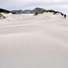 Neuseeland (2002), Wharariki-Beach