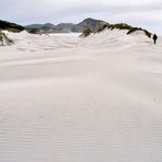 Neuseeland (2002), Wharariki-Beach