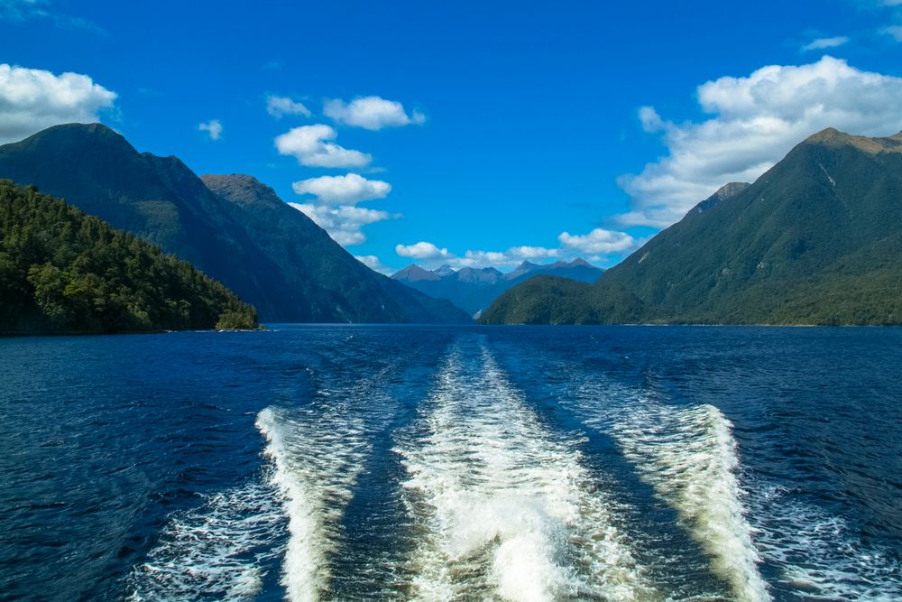 Neuseeland 2006, Südinsel, Fjordland National Park