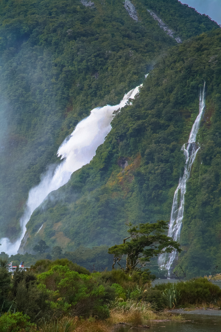 Neuseeland 2006: Südinsel, Milford Sound, Bowen Falls