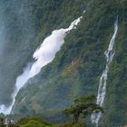 Neuseeland 2006: Südinsel, Milford Sound, Bowen Falls