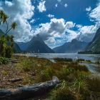 Neuseeland 2006: Südinsel, Milford Sound, Mitre Peak