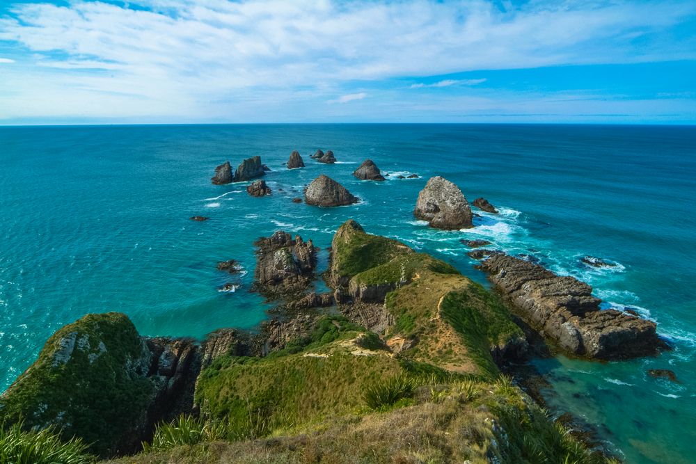 Neuseeland 2006: Südinsel, Nugget Point