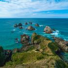 Neuseeland 2006: Südinsel, Nugget Point