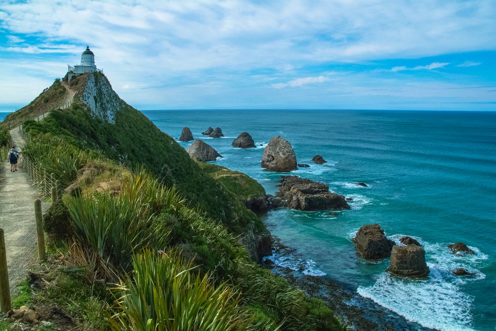 Neuseeland 2006: Südinsel, Nugget Point