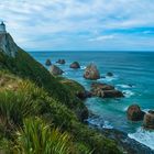 Neuseeland 2006: Südinsel, Nugget Point