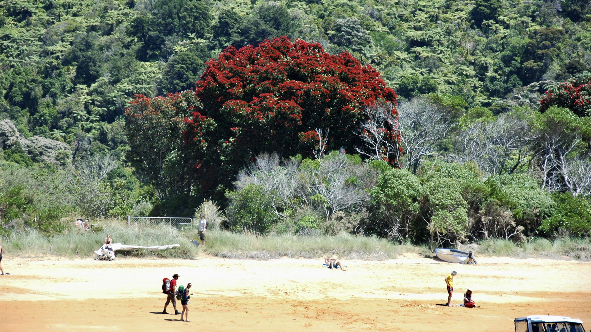 Neuseeland (2015), Abel Tasman V