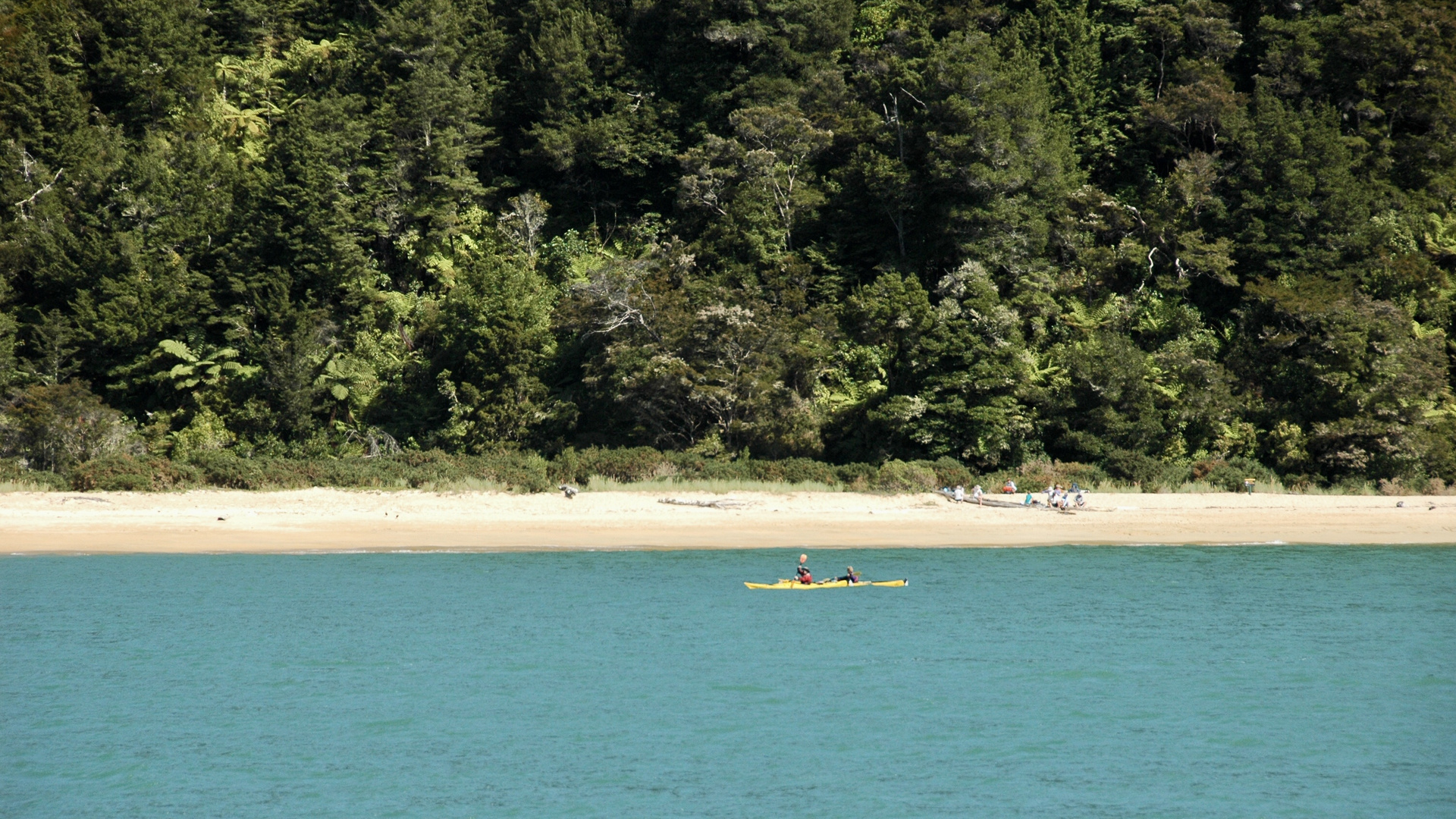 Neuseeland (2015), Abel Tasman VII