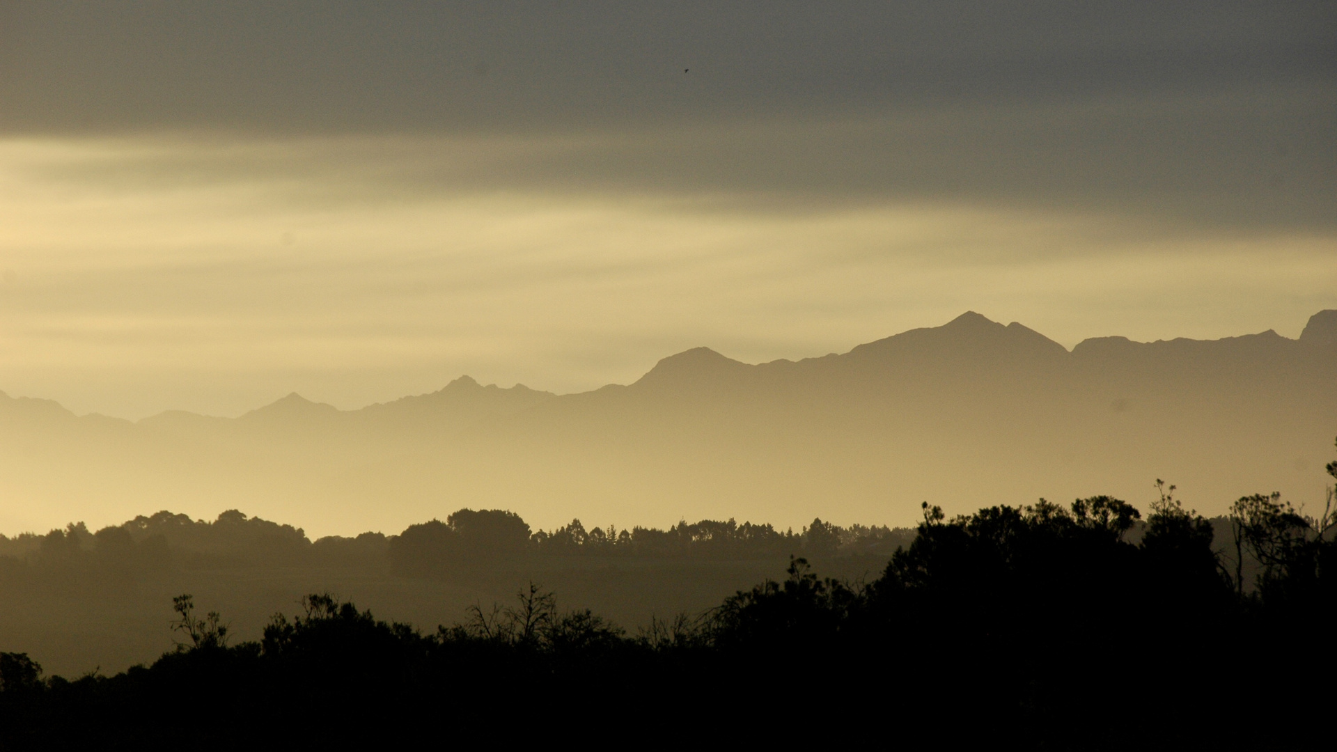 Neuseeland (2015), Abel Tasman VIII