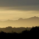 Neuseeland (2015), Abel Tasman VIII