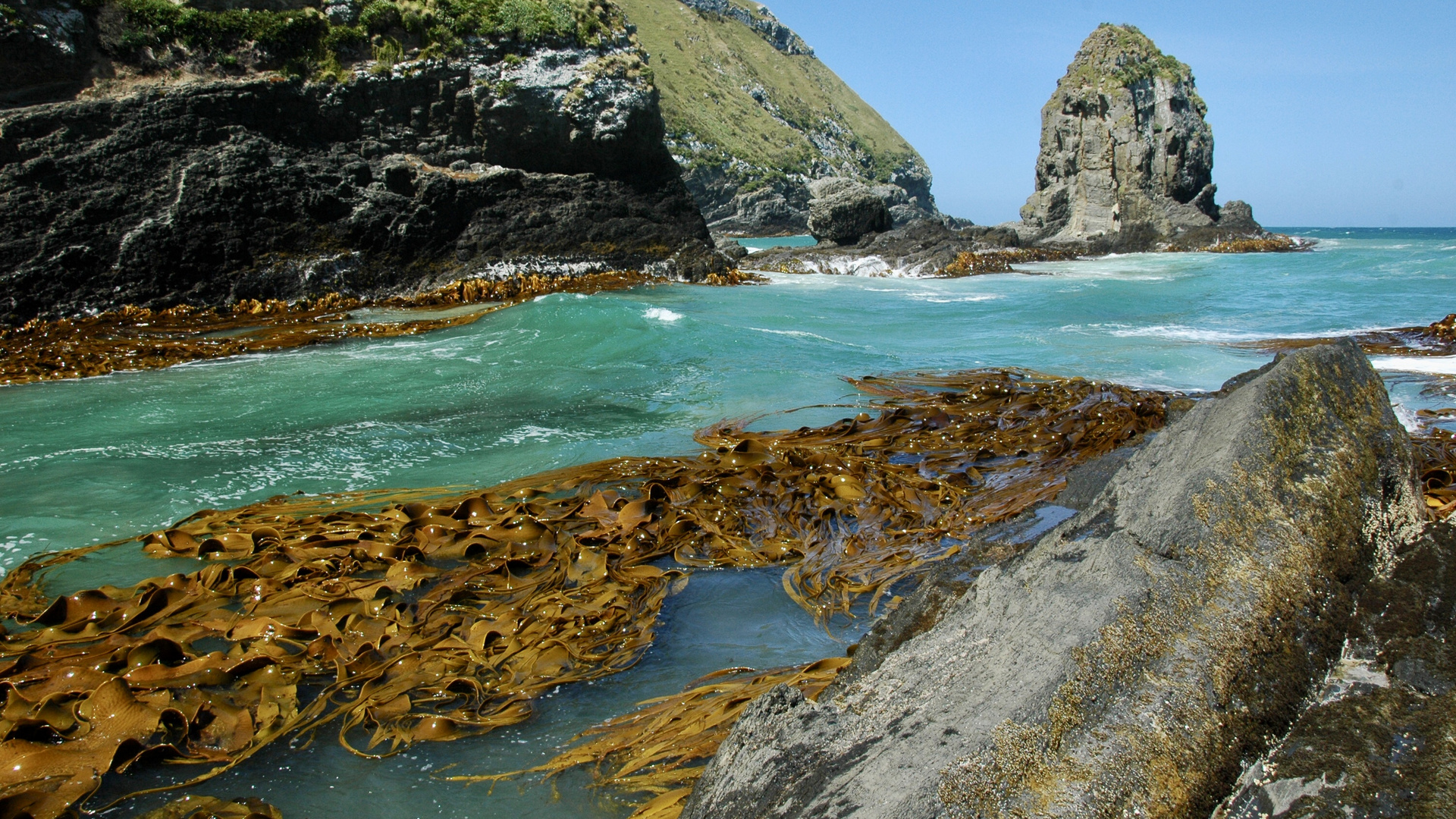 Neuseeland (2015), Cannibal Bay
