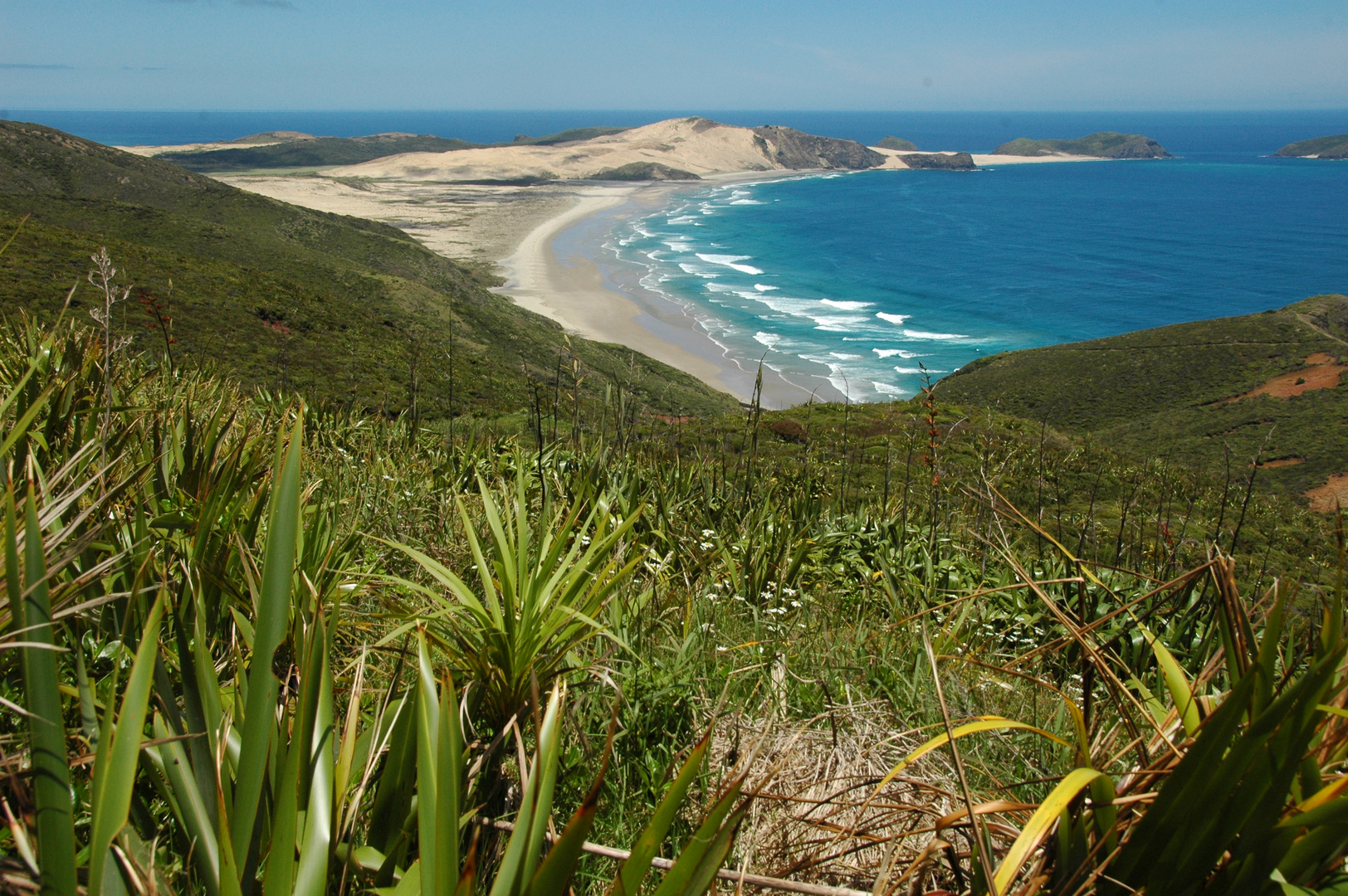 Neuseeland (2015), Cape Maria van Diemen