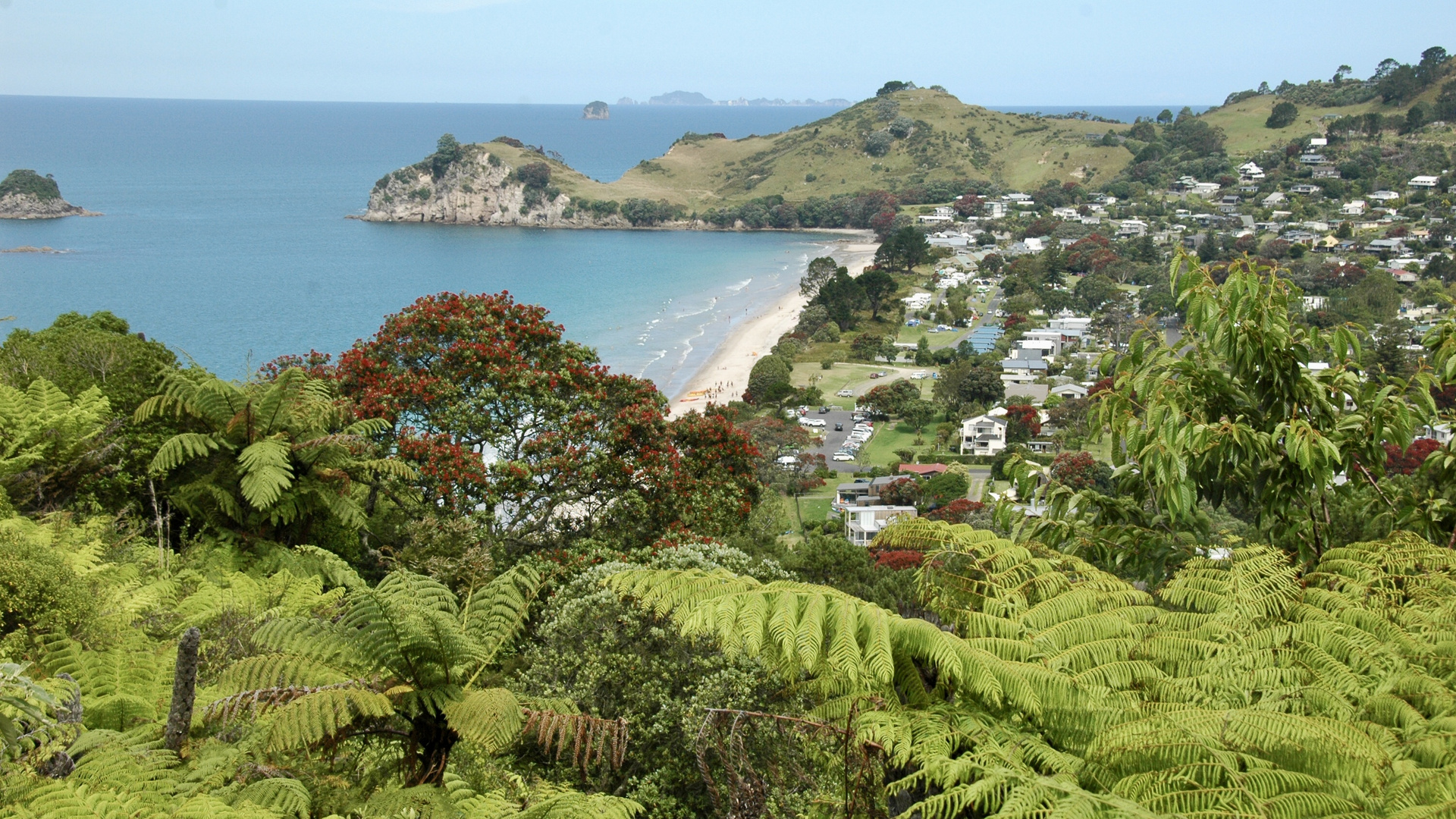 Neuseeland (2015), Hahei-Beach