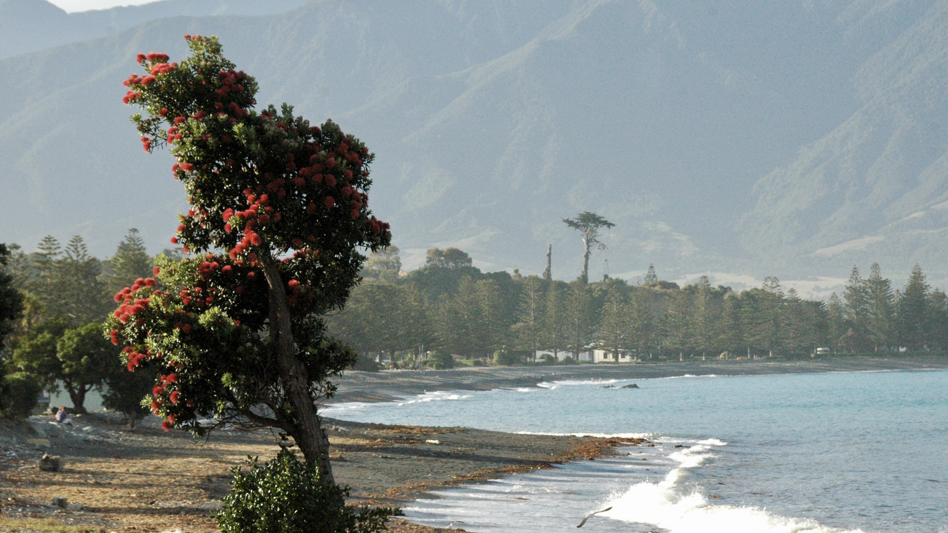 Neuseeland (2015), Kaikoura