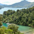 Neuseeland (2015), Marlborough Sounds