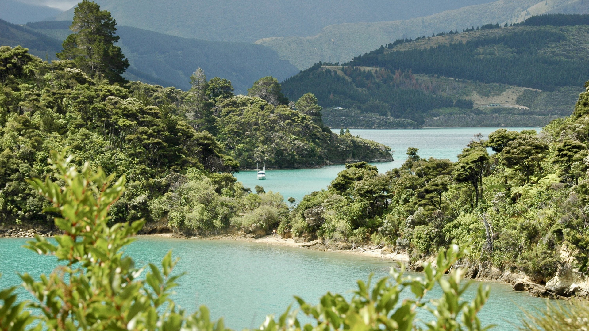 Neuseeland (2015), Marlborough Sounds