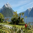 Neuseeland (2015), Milford Sound